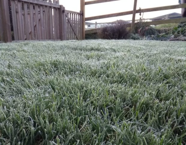 You are currently viewing How Harmful Is frost on grass for your Lawn?