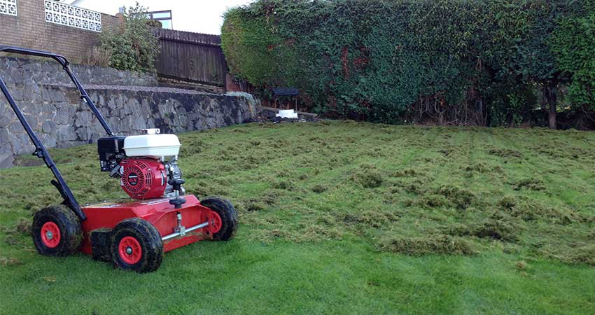 You are currently viewing Lawn Scarification